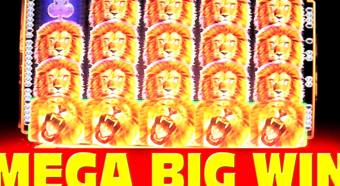 215 Loyal Free Spins! at Betzest Casino