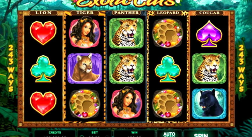 €2595 No Deposit at Zet Casino