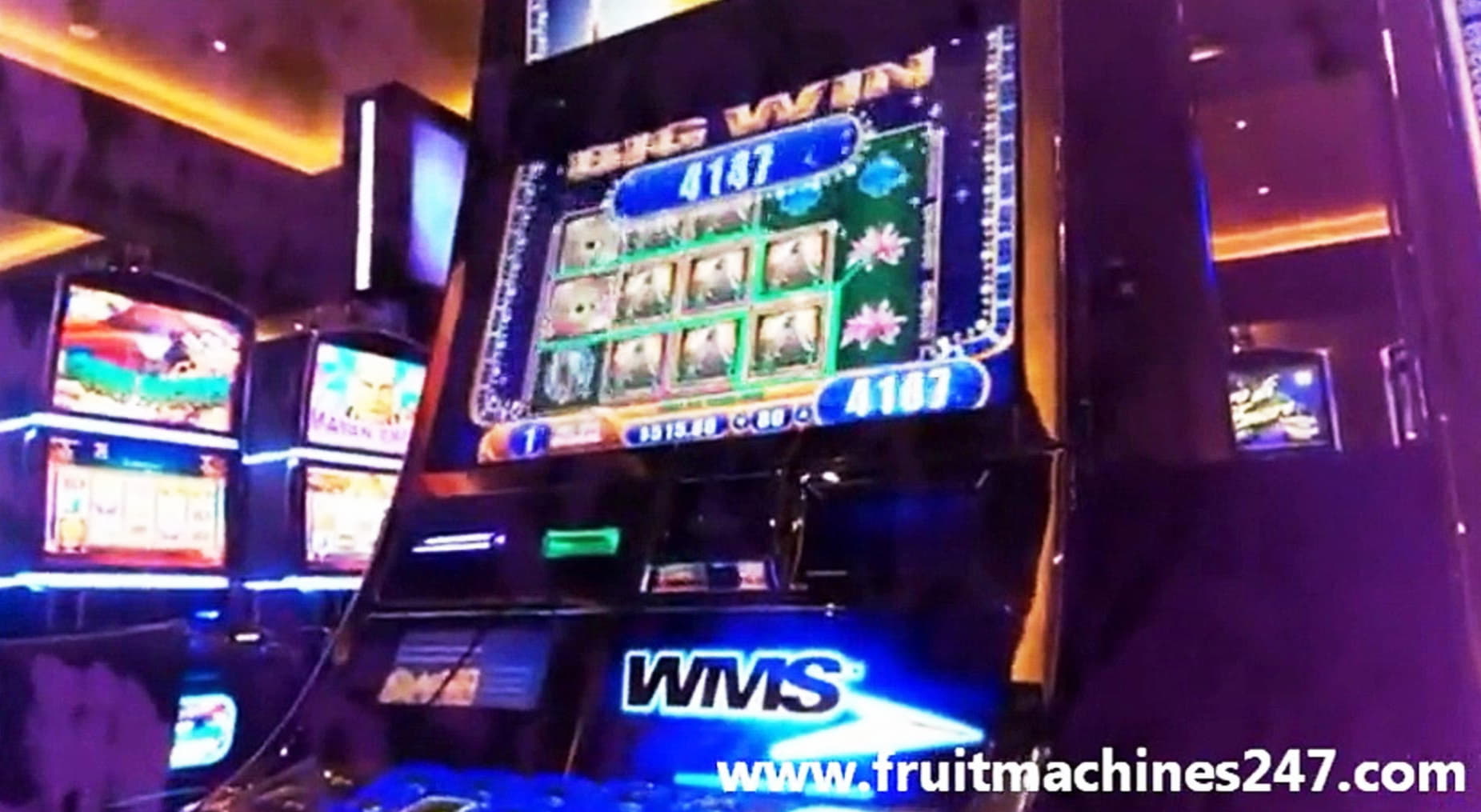 €4910 NO DEPOSIT CASINO BONUS at 7 Reels Casino