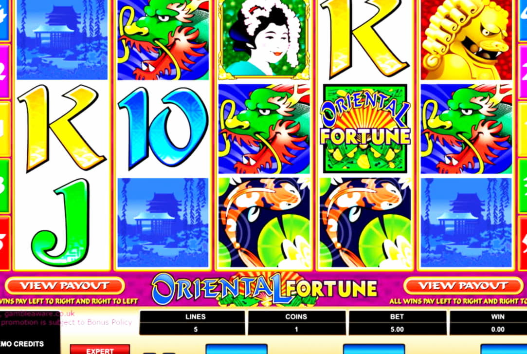 265 free spins casino at CasiPlay Casino