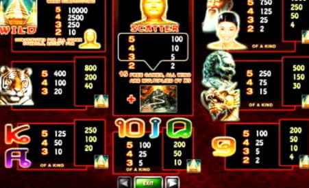 $40 Casino Tournament at Mongoose Casino
