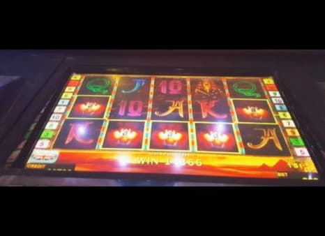 EUR 680 Daily freeroll slot tournament at Reload Bet Casino
