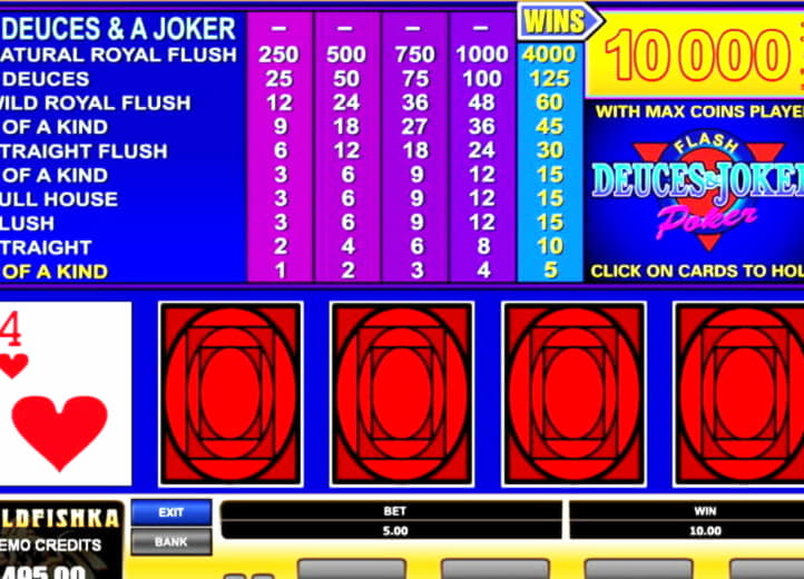 245% Best Signup Bonus Casino at Leo Dubai Casino