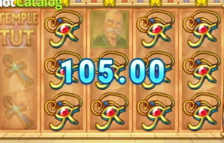 960% Casino Welcome Bonus at 7 Reels Casino