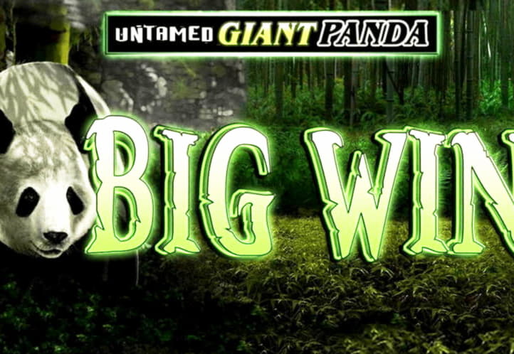 $640 Mobile freeroll slot tournament at All Slots Casino