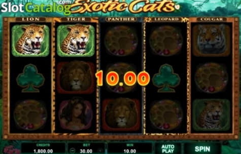 ﻿$245 Daily freeroll slot tournament at 7 Reels Casino