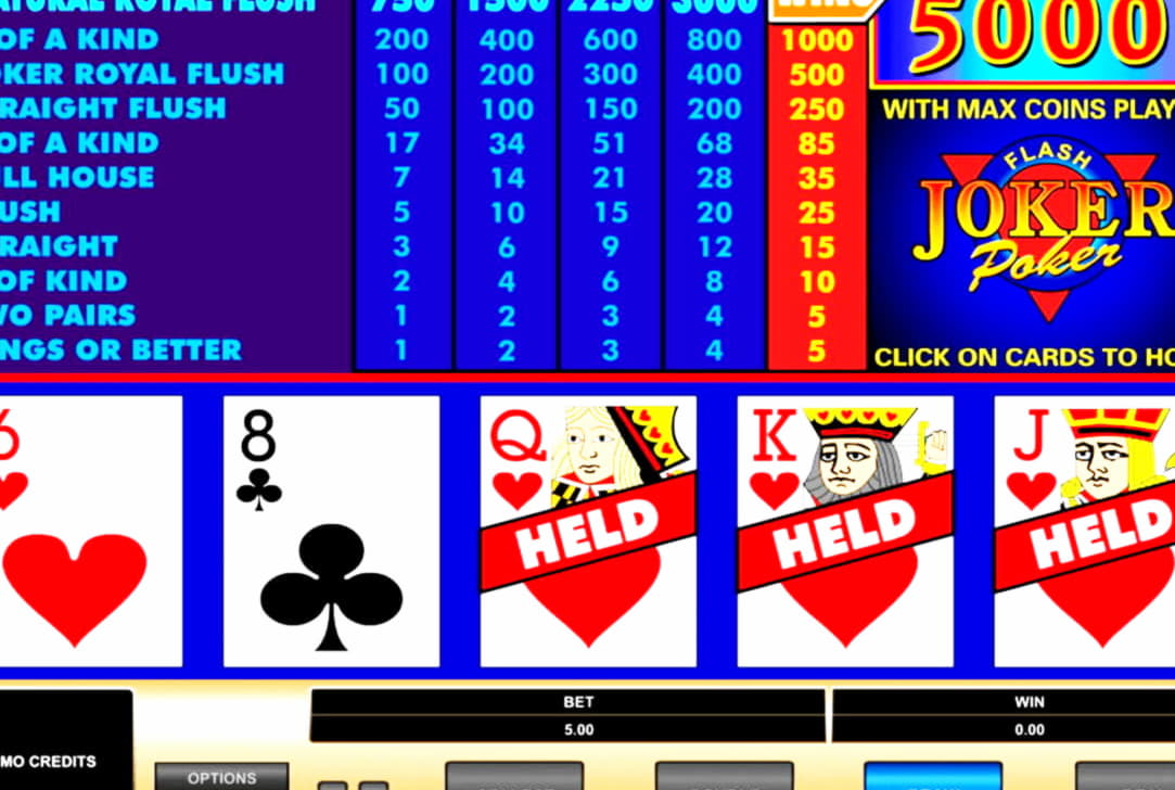 44 Loyal Free Spins! at 7 Reels Casino
