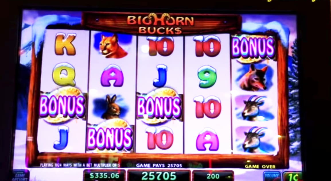 EURO 3305 No Deposit at Platinum Play Casino