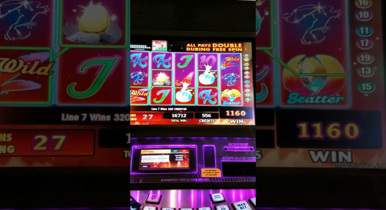 205 FREE SPINS at Leo Dubai Casino