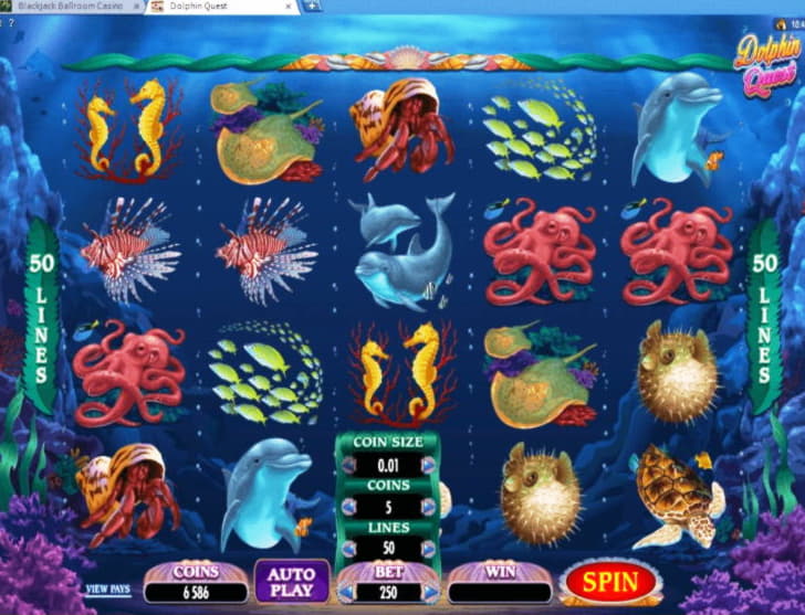 205 Free spins no deposit at CasiPlay Casino