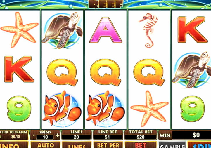 310% Best signup bonus casino at Rich Casino