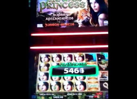 €4100 no deposit at Spin Palace Casino