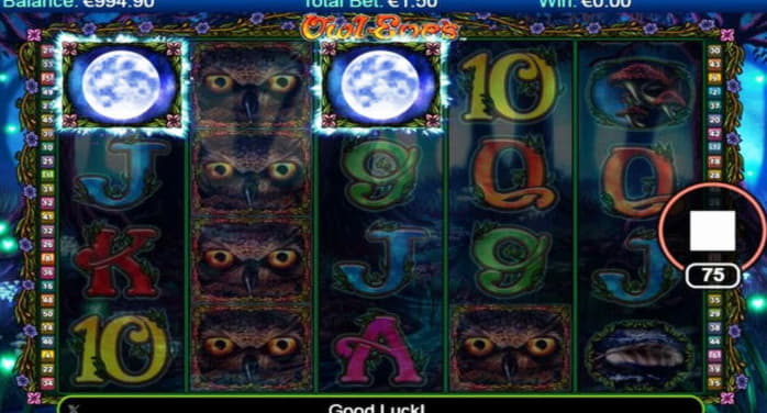 300 Free spins no deposit casino at Betzest Casino