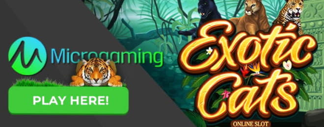 125 Free spins no deposit at All Slots Casino
