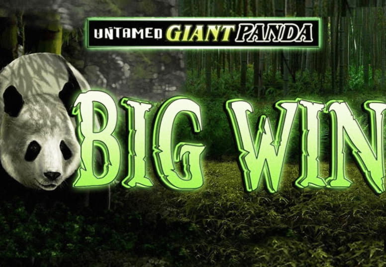 EUR 4885 No Deposit Bonus Casino at Vip Slots Casino