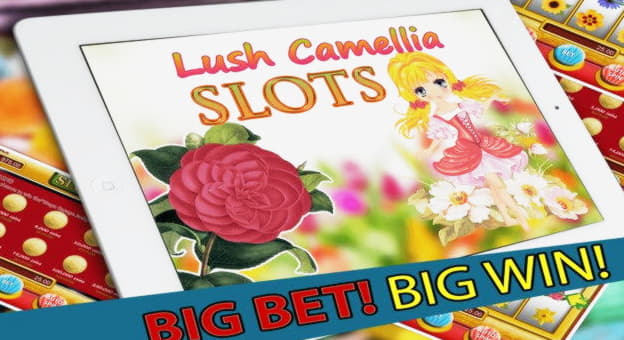 $330 Free casino chip at Platinum Play Casino