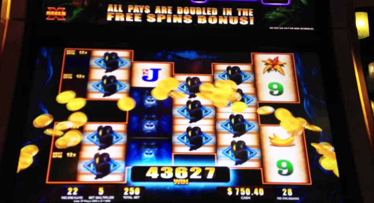 €235 Free Cash at Zodiac Casino