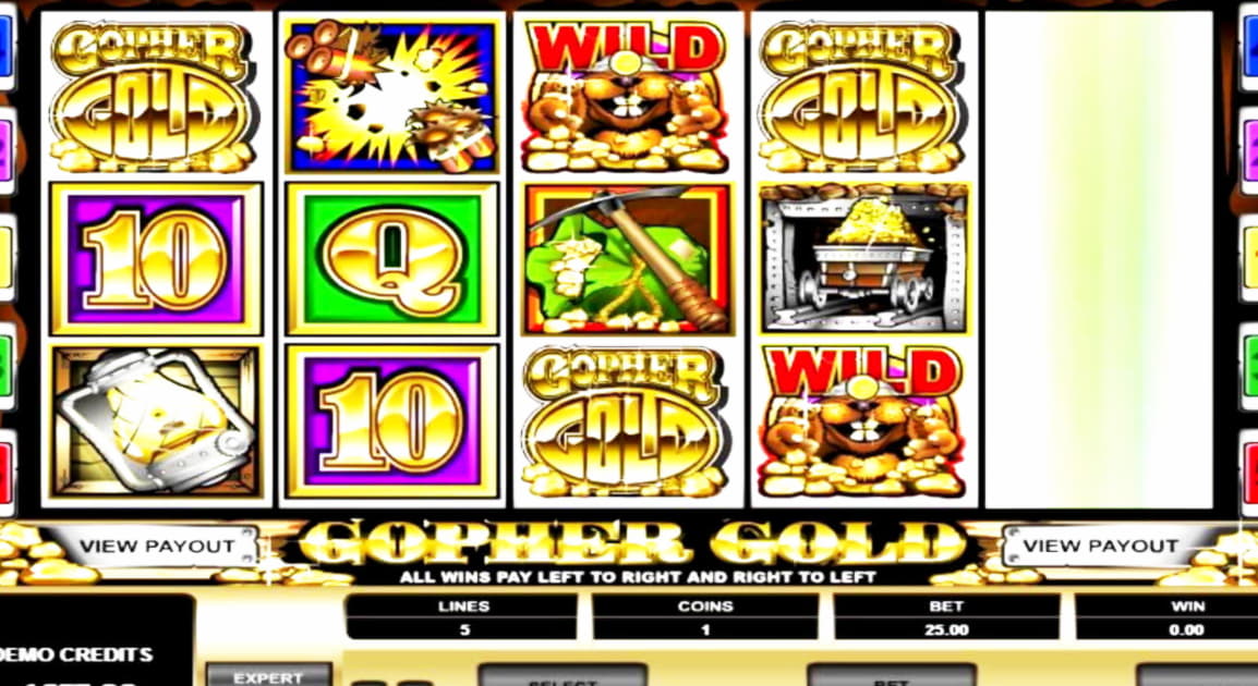 205 free spins at Rich Casino
