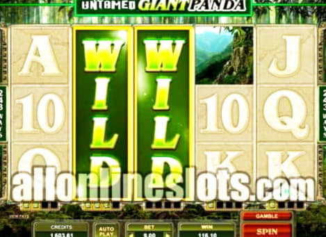 440% First Deposit Bonus at Betzest Casino
