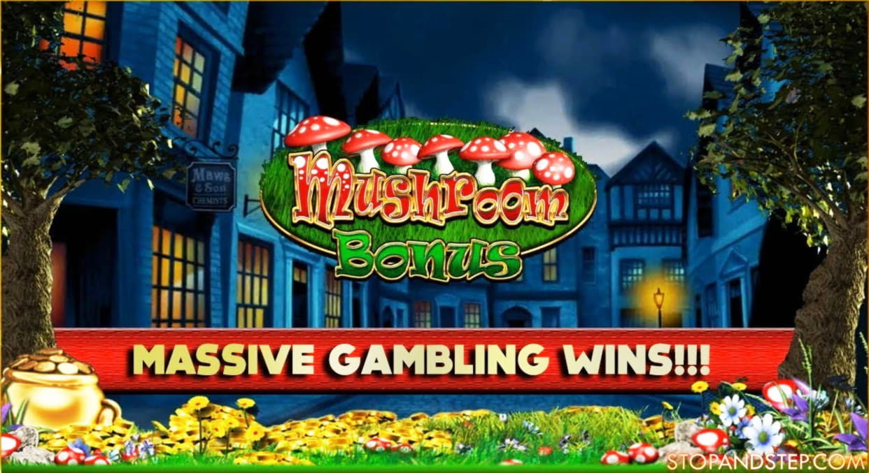 130% Best signup bonus casino at CasiPlay Casino