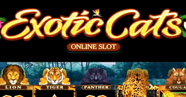 €2315 No deposit bonus code at Unique Casino