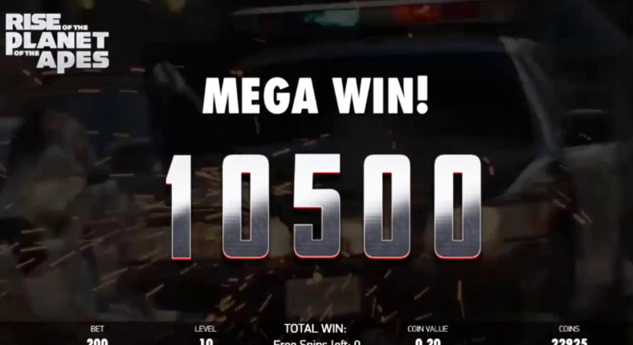105 FREE SPINS at Leo Dubai Casino