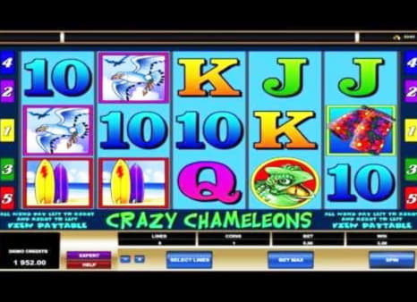830% Match at a casino at Platinum Play Casino