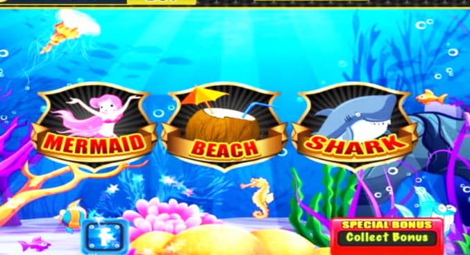 EUR 2455 NO DEPOSIT at Spin Palace Casino