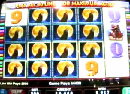 ﻿$600 Free chip at Leo Dubai Casino