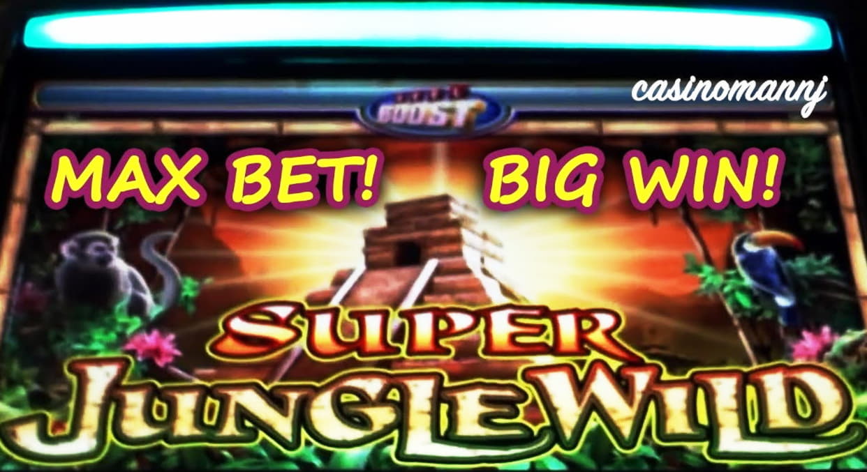 795% Match at a Casino at Video Slots Casino