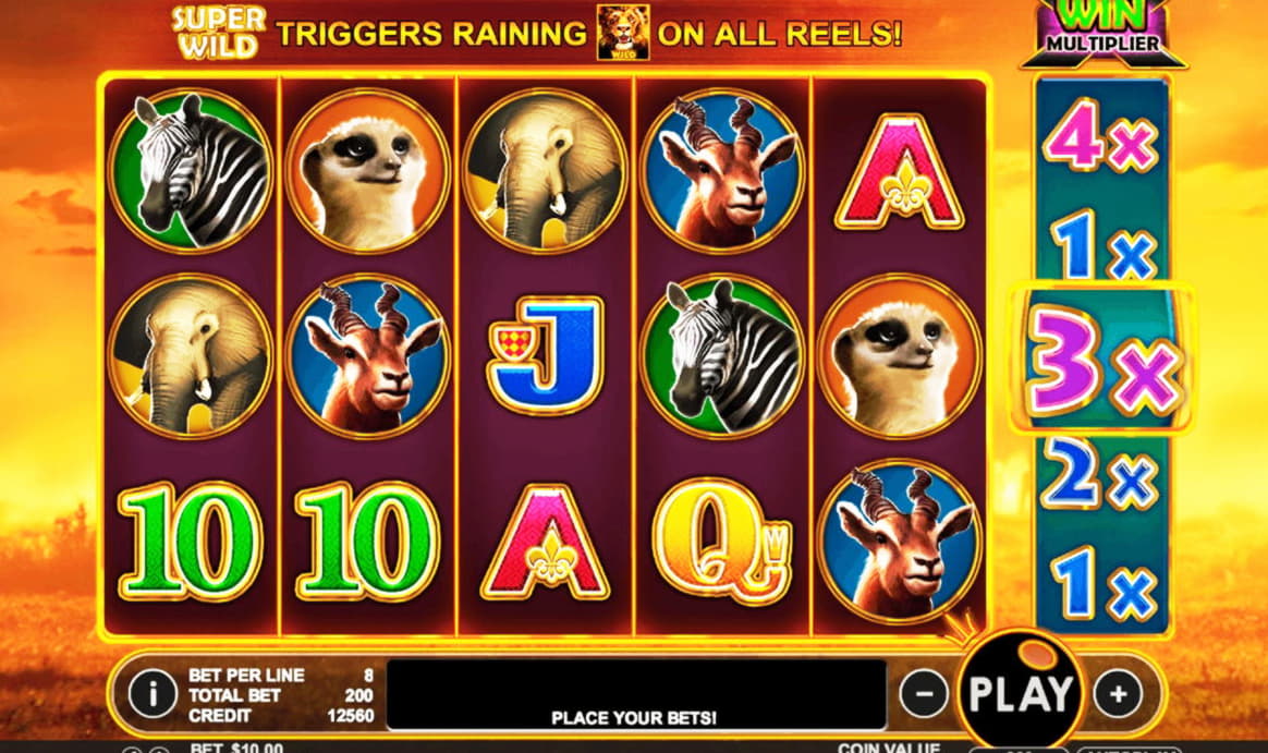 EURO 965 Daily freeroll slot tournament at Mongoose Casino