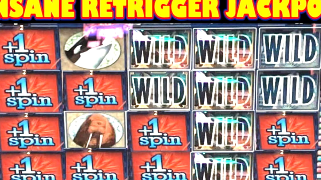 $970 Free Casino Tournament at Mongoose Casino