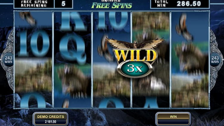 165% Best Signup Bonus Casino at Reload Bet Casino