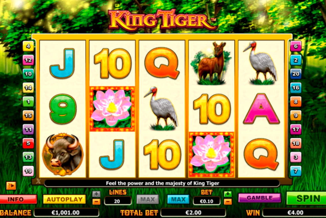 €95 Free Casino Tournament at Royal Vegas Casino