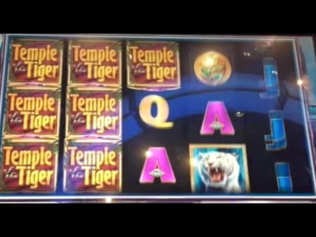 225 Free spins no deposit casino at Amazing Casino 