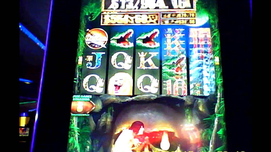 25 Free spins at Amazing Casino 