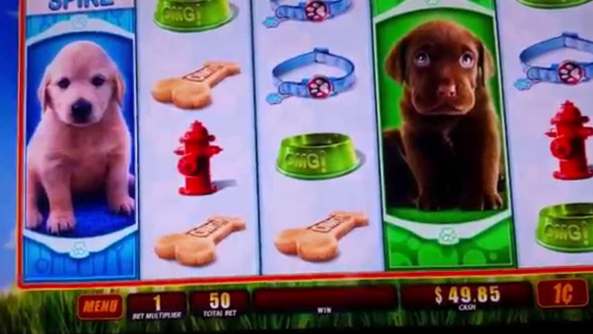 $245 Free Casino Tournament at Platinum Play Casino