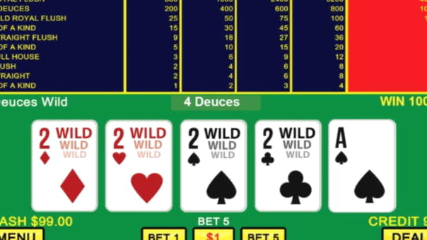 77 free spins no deposit casino at CasiPlay Casino