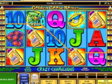 EUR 3865 NO DEPOSIT BONUS CASINO at Mongoose Casino