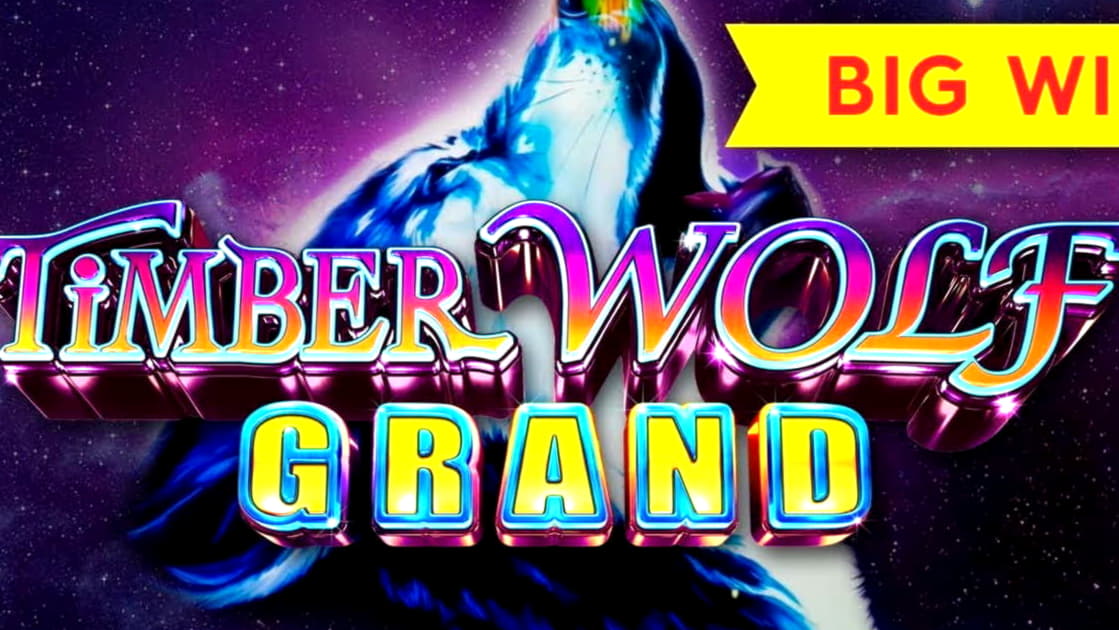 230 free spins no deposit casino at LSbet Casino
