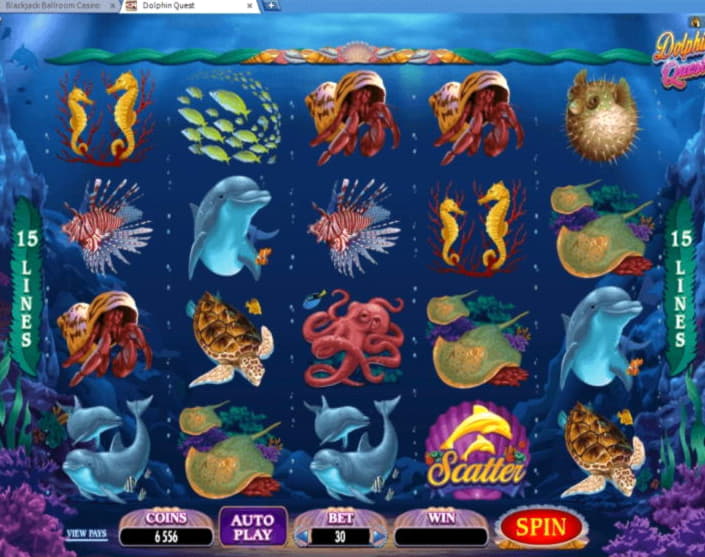 €4830 No deposit at CasiPlay Casino