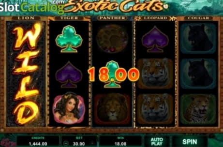 €1925 NO DEPOSIT at CasiPlay Casino