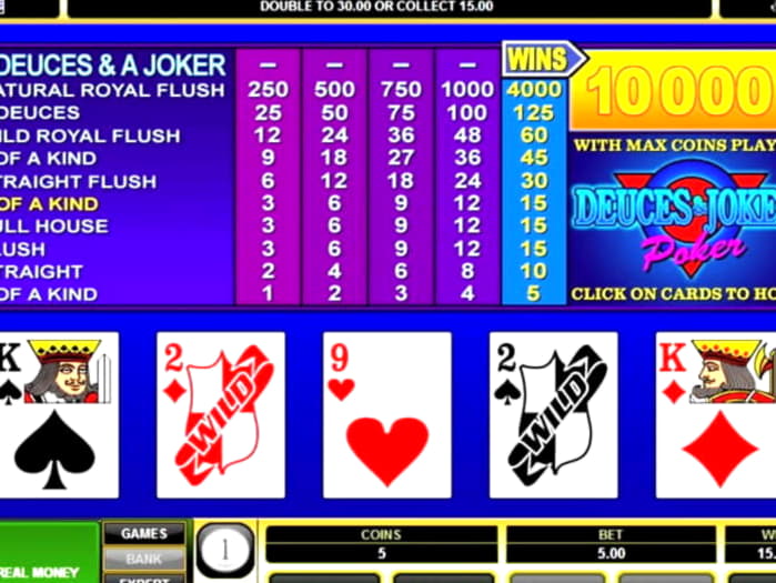 230 Loyal Free Spins! at 7 Reels Casino