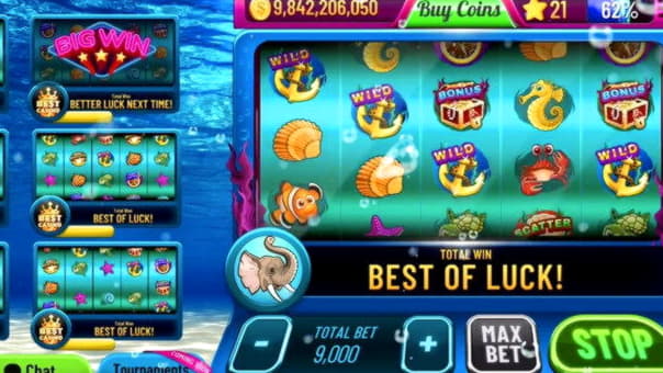 795% Signup casino bonus at 7 Reels Casino