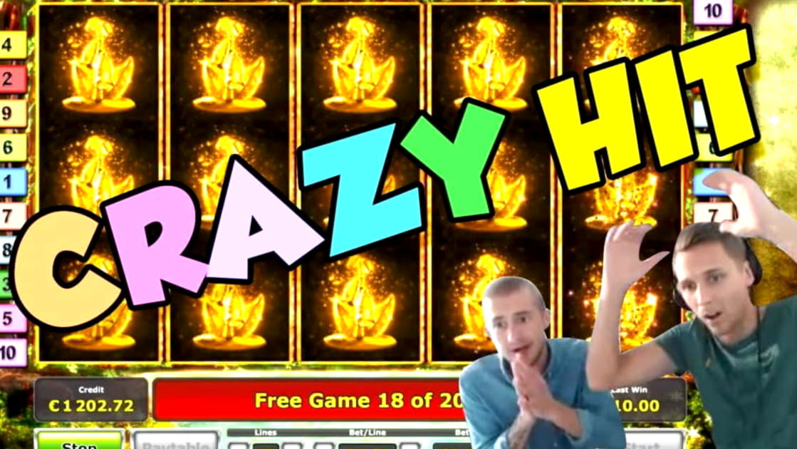 45% Signup Casino Bonus at Betzest Casino