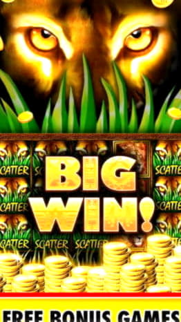 EUR 285 casino chip at Reload Bet Casino