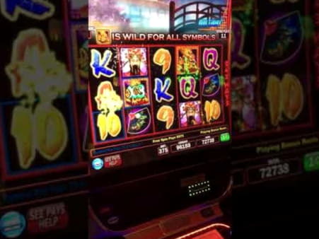 €350 free chip casino at 7 Reels Casino