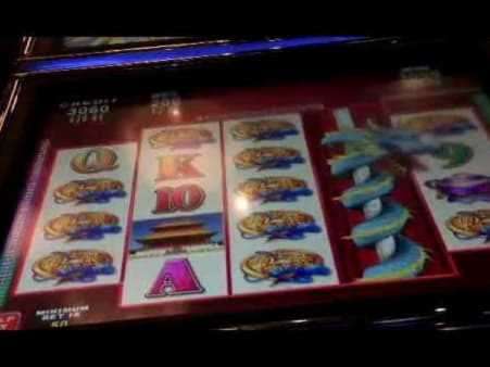 EUR 300 Free chip at Spin Palace Casino