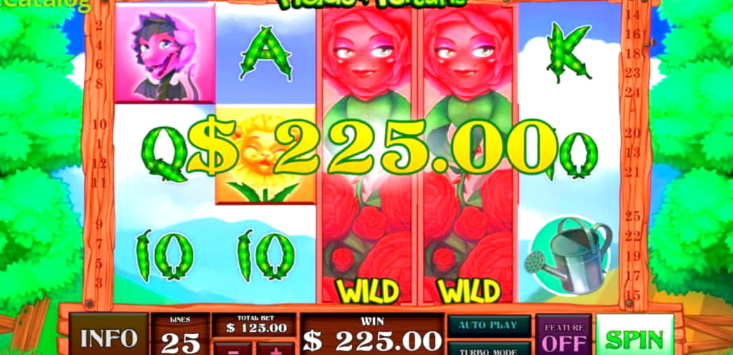 215 free spins no deposit casino at 7 Reels Casino