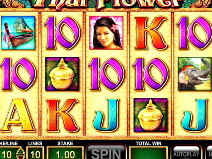 $4165 No Deposit at Platin Casino